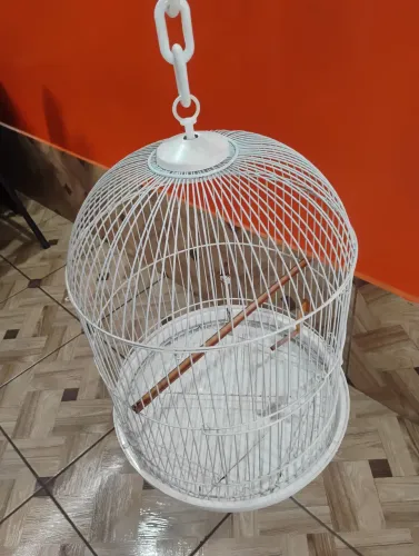 VIVEIRO PIU PIU COM PULEIROS!!!