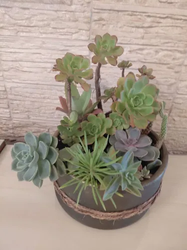 Vaso decorativo