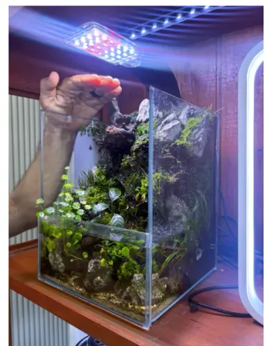 Paludário 20x20x25cm Vidro 6mm  + tampa - Sem decoração interna