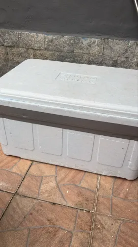 Caixa de isopor 170L