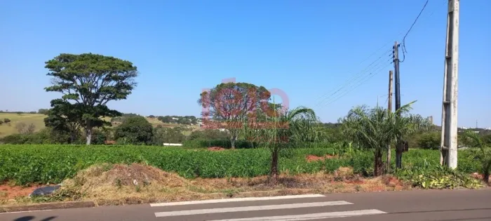Terreno à venda Nova esperança Pr