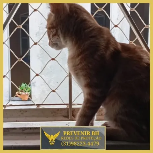 tela de proteção para gatos