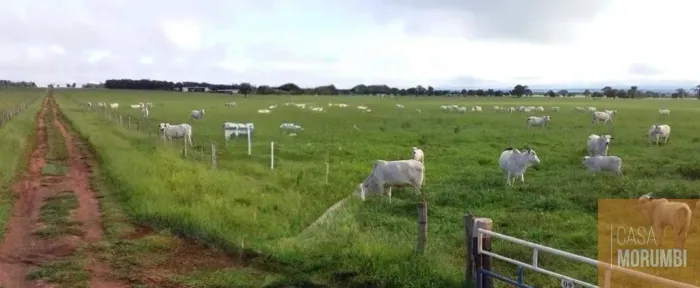 Fazenda à venda em Nova Alvorada-MS: 2.046 hectares de área!