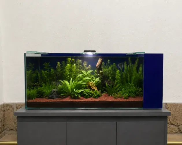 AQUÁRIO NOVO 120L - PREÇO PARA SAIR RÁPIDO