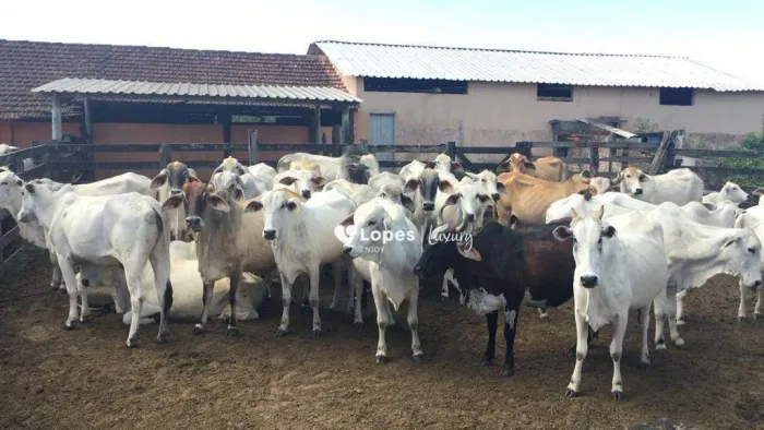 Fazenda em Araruama - porteira fechada - 35.000 m2 - R$ 9.100.000,00 - Araruam