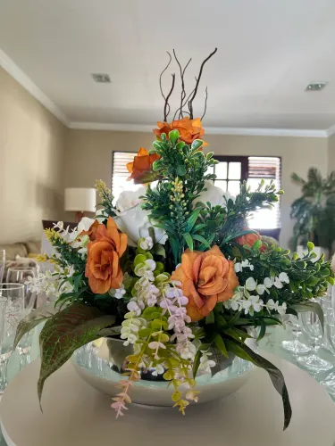 Jarro com plantas