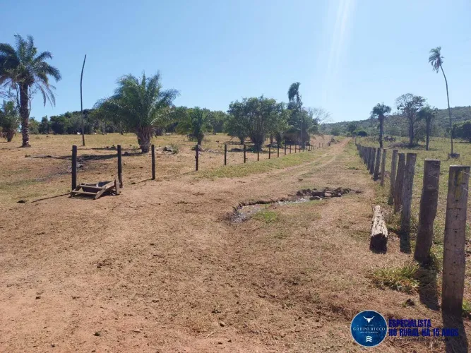 Fazenda à Venda em Aruanã - GO | 100 Alqueires | 70 Alqueires para Plantio