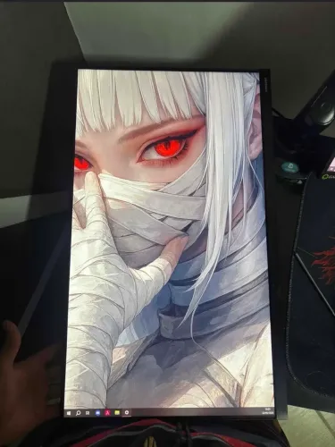 Monitor