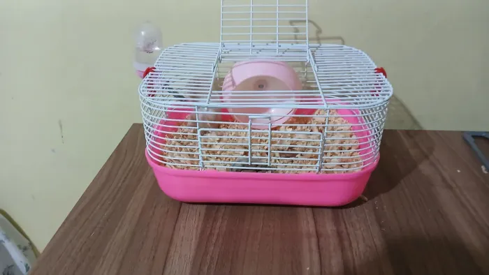 Gaiola para hamster