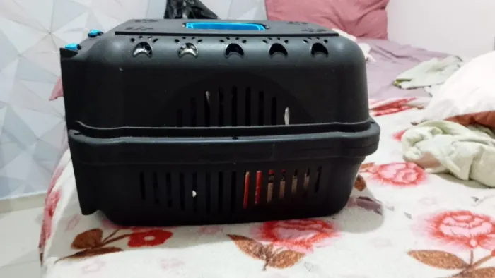 Caixa de trânsito pet ( caixinha pra cão e gato ) 