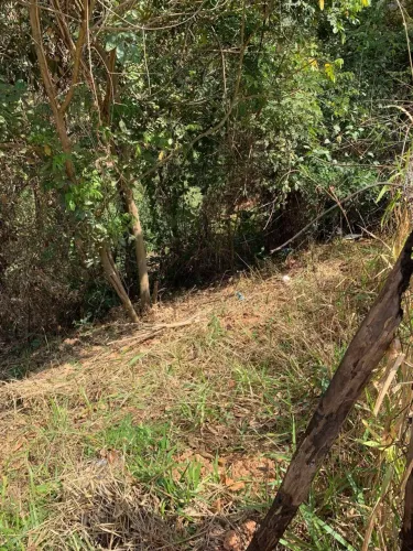Fazer contrato compra e venda,pego tudo na catira não precisa chamar atoa