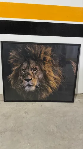 Quadro Novo  Leão 1 metro altura 80 largura 