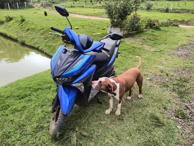 Yamaha neo 125 2023 abaixo da. Tabela