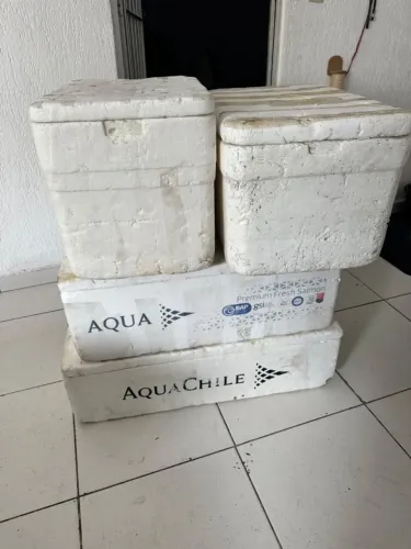 Kit com 4 Caixas de Isopor de Tamanhos Variados (Leve Tudo ou Avulso)