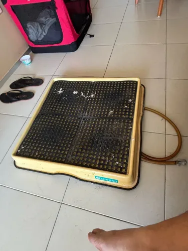 Weasy Sanitário de Cachorro