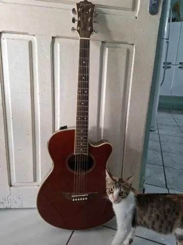 Violão Tagima Ventura S-T-NA + Bag