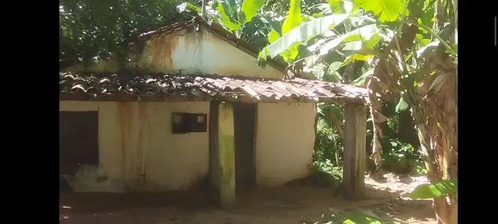 Sítio muito verde