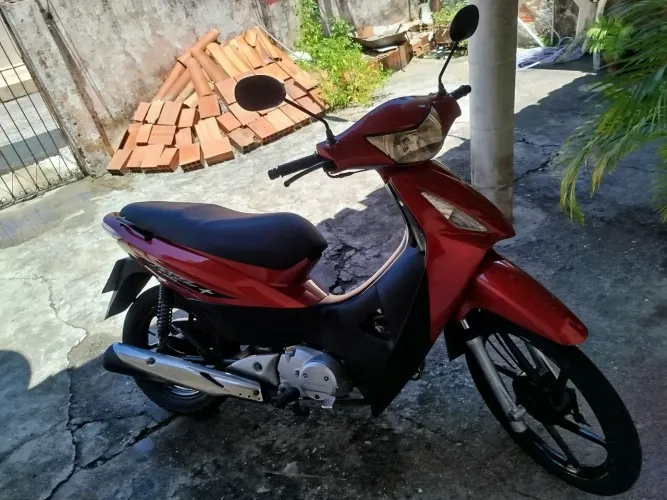 Vendo biz 2008