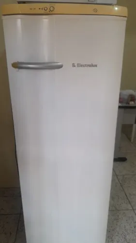 Manequim Plus Size e um feminino comum+ Geladeira ótima+