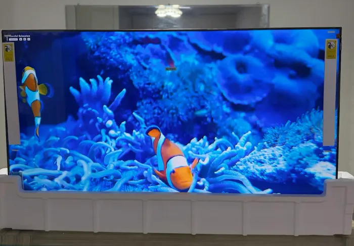 Tv TCL 65 Pol