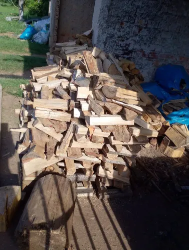 Exelentes Lenhas picadas para fogao lareira bracatinga eu calipto e outras
