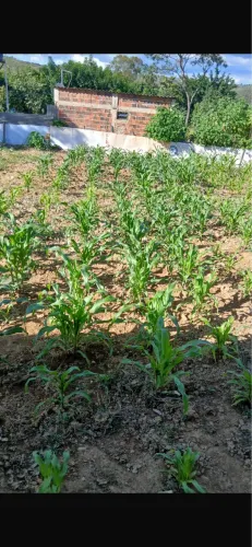 Lotes em Luziânia só 37 mil corre que é pra vender logo