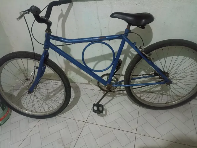 Baik Monark