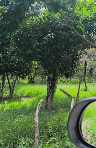 Vendo ou troco em algo do meu interesse