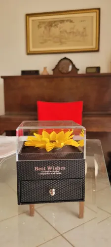 Colar de girassol com flor eterna em caixa