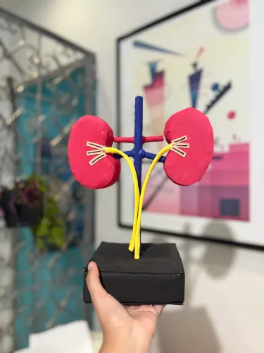 FAÇO MAQUETES PERSONALIZADAS