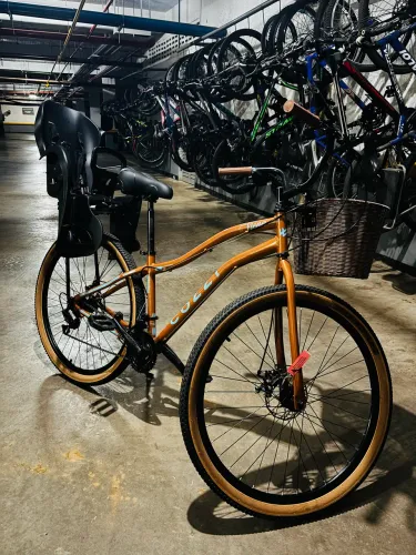 Bicicleta feminina aro 29