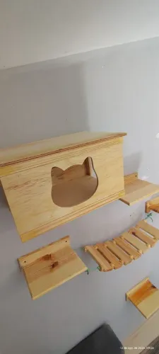 Kit para gatos