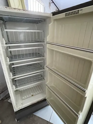 Freezer Brastemp precisando apenas de gás. Excelente estado de conservação. Raridade 