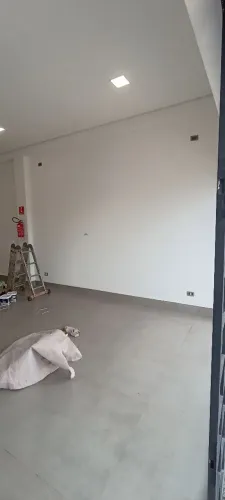 Pintor Profissional 