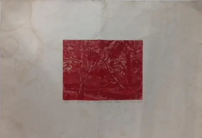 Gravura Rara Vânia Pereira (P.A. 3/5, 1980) - "Chácara Monte Alegre" | Arte Contemporânea