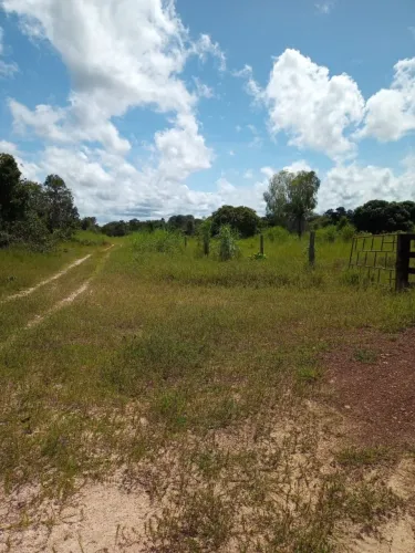 FAZENDA EM TOCANTINS