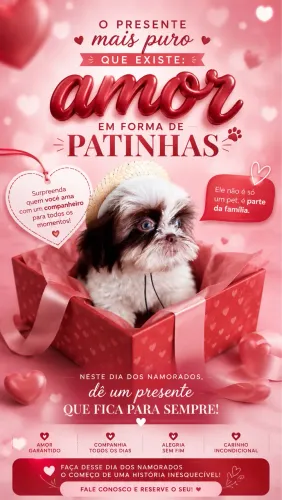 Potinho de amor shih Tzu