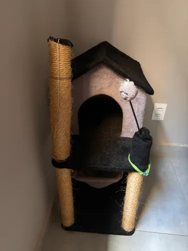 Casinha  de gato