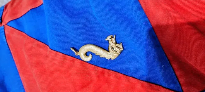 PINGENTES ESTILOSOS