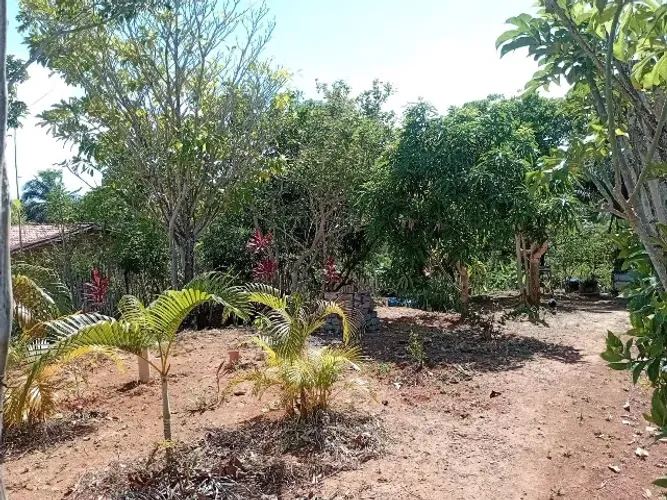 Mine Sitio 560 metros 14/40 com casa água encanada