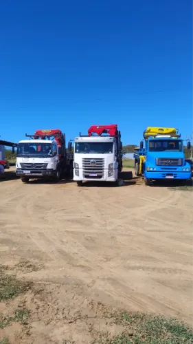 Aluguel de Caminhão Munck | Içamento e Transporte de Cargas 