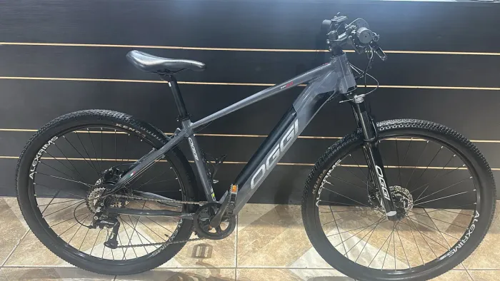 Bicicleta e-bike oggi 8.0 tam 17