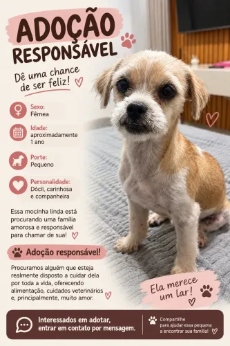 Adoção responsável