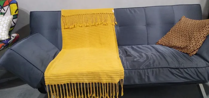 Sofá cama moderno 2 lug