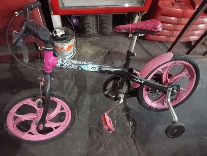 Bicicleta