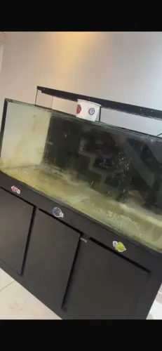 aquario marinho 150x60x60 10mm com sump e móvel