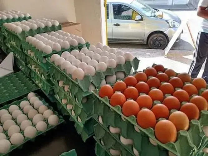 Ovos de granja
