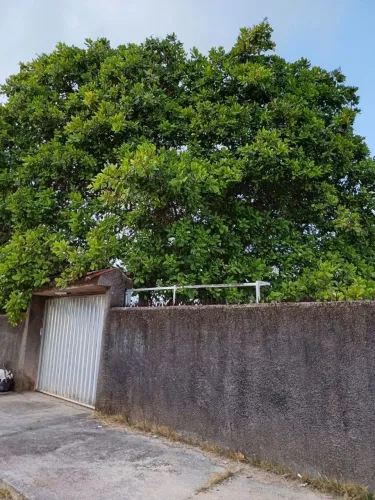 Casa de Praia em Enseada dos Corais