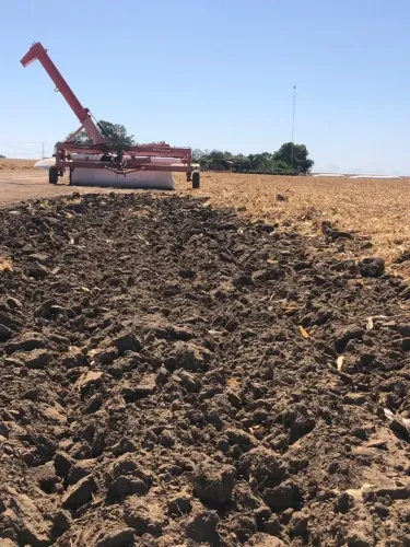 Fazenda a venda a 60 km de Balsas plantando 1.200 hectares soja, margem da rodovia !