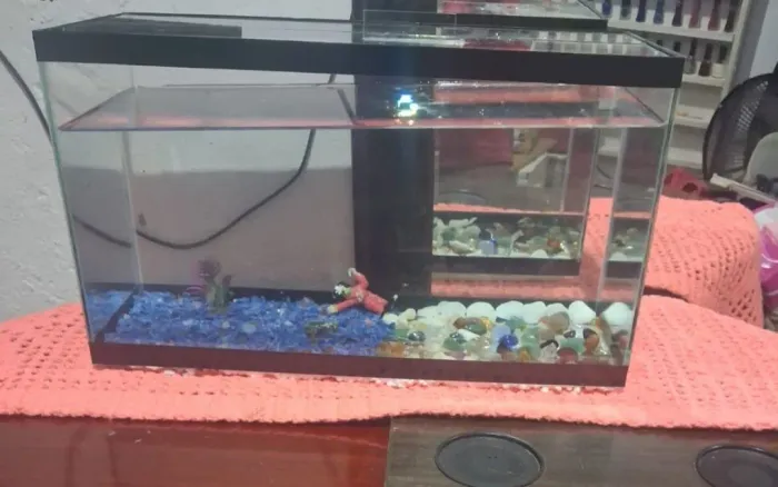 Vendo aquário